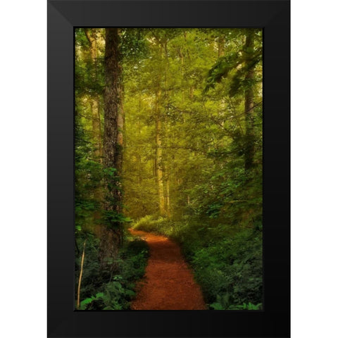 Fairytale Path Black Modern Wood Framed Art Print by Mikaels, Natalie