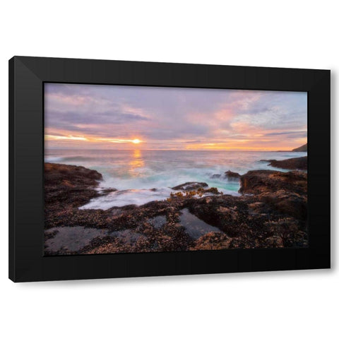 Natures Palette Black Modern Wood Framed Art Print with Double Matting by Mikaels, Natalie