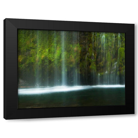 Paradise Black Modern Wood Framed Art Print by Mikaels, Natalie