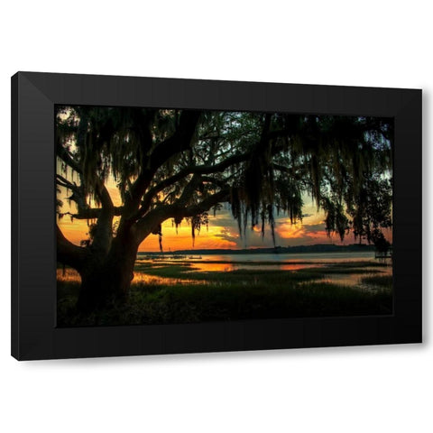 Savannah Evening Black Modern Wood Framed Art Print with Double Matting by Mikaels, Natalie