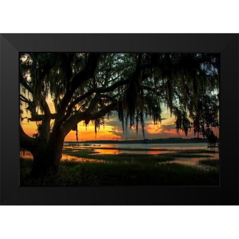 Savannah Evening Black Modern Wood Framed Art Print by Mikaels, Natalie