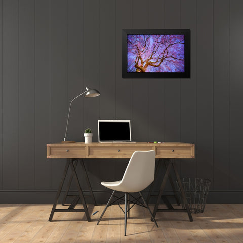 Weeping Cherry Black Modern Wood Framed Art Print by Mikaels, Natalie