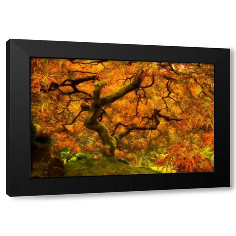 Wild Fire Black Modern Wood Framed Art Print by Mikaels, Natalie