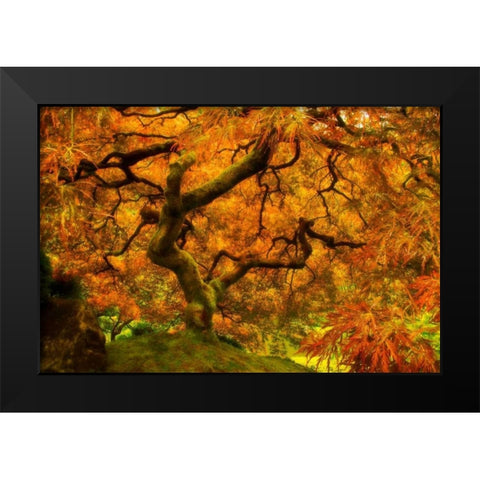 Wild Fire Black Modern Wood Framed Art Print by Mikaels, Natalie