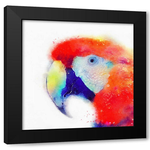 The Articulate II Black Modern Wood Framed Art Print with Double Matting by Maldonado, Jacqueline