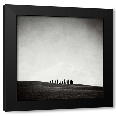 Hidden Forest Black Modern Wood Framed Art Print by Morrissey, Margaret