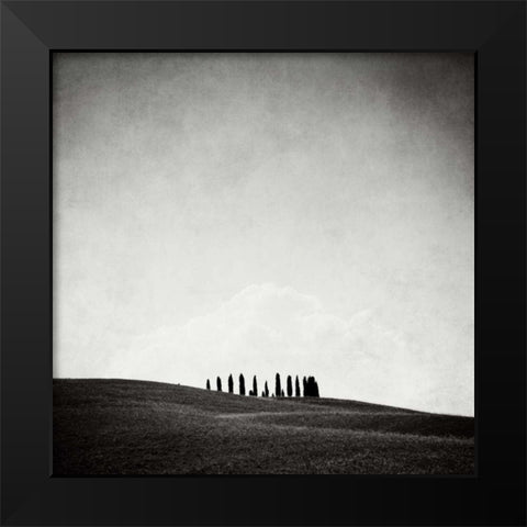 Hidden Forest Black Modern Wood Framed Art Print by Morrissey, Margaret