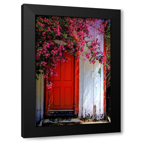 Red Door Black Modern Wood Framed Art Print with Double Matting by Mayo, Dean