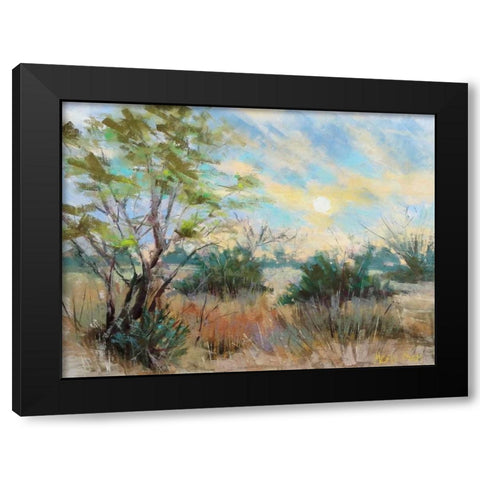 Texas Sunrise Black Modern Wood Framed Art Print with Double Matting by Mertz, Nancie King