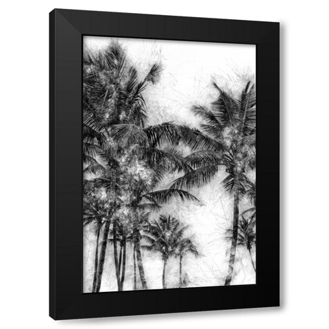 Dorado Palms 1 Black Modern Wood Framed Art Print by Miamee, Golie