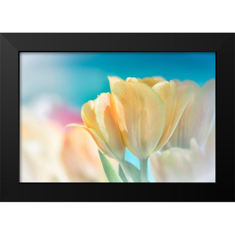 Magical Black Modern Wood Framed Art Print by Marie, Dina