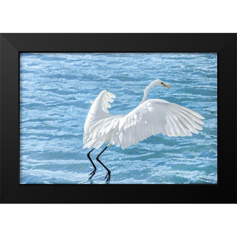 Taking Flight Black Modern Wood Framed Art Print by Marie, Dina