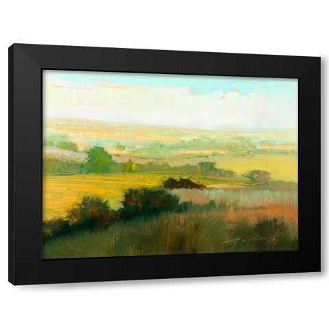 Morning Mist Black Modern Wood Framed Art Print by McCarthy, William