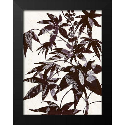 Castor Bean 2 Black Modern Wood Framed Art Print by MacCollum, Cynthia