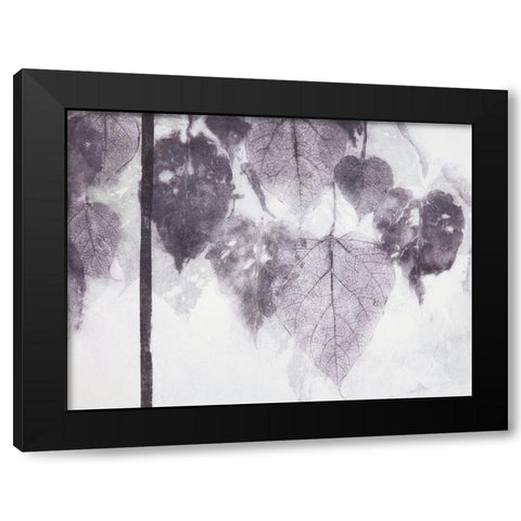 Catalpa Black Modern Wood Framed Art Print with Double Matting by MacCollum, Cynthia