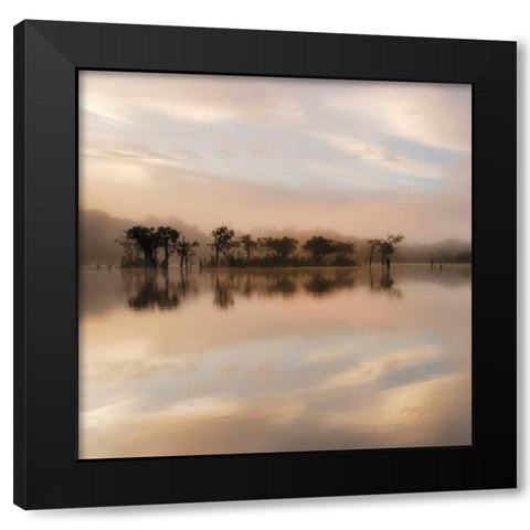 Dawn Mist on the Amazon Black Modern Wood Framed Art Print by Mumford, Andy