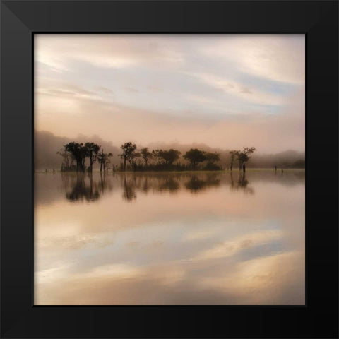 Dawn Mist on the Amazon Black Modern Wood Framed Art Print by Mumford, Andy