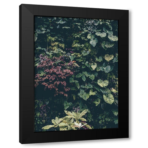 Plant Wall Black Modern Wood Framed Art Print by Design Fabrikken