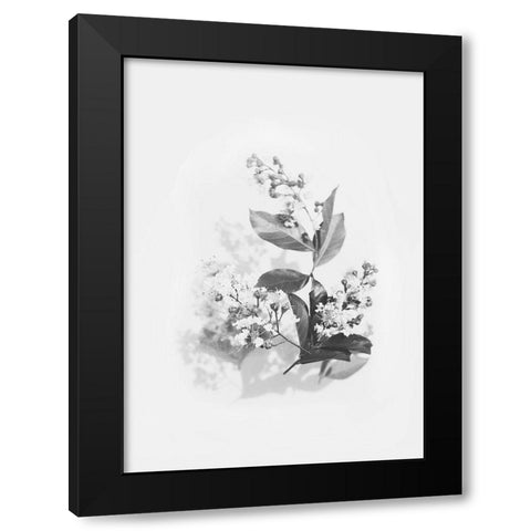 Evie Black Modern Wood Framed Art Print with Double Matting by Design Fabrikken