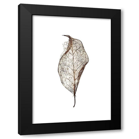 Leaf Black Modern Wood Framed Art Print with Double Matting by Design Fabrikken