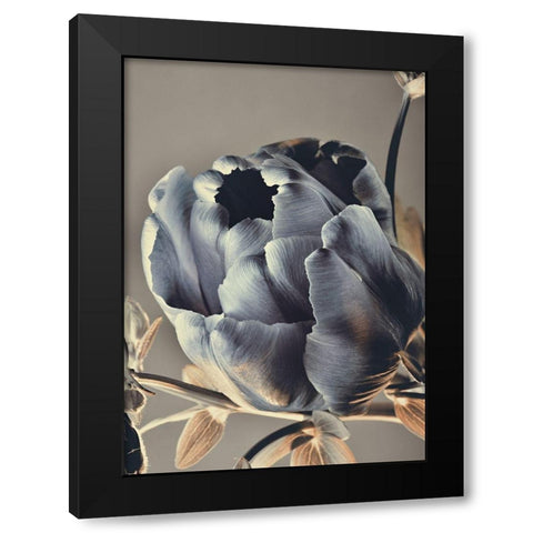 Baroque 3 Black Modern Wood Framed Art Print with Double Matting by Design Fabrikken