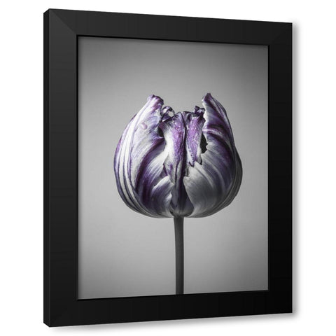 Baroque 5 Black Modern Wood Framed Art Print with Double Matting by Design Fabrikken