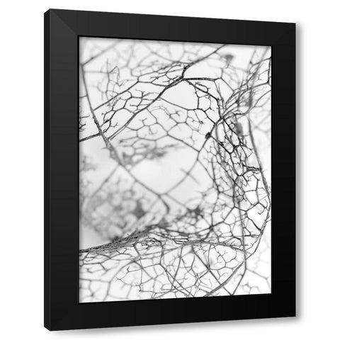 Leaf Skeleton BW Black Modern Wood Framed Art Print with Double Matting by Design Fabrikken