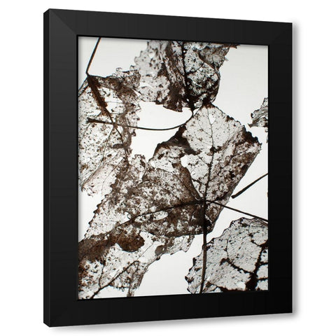 Leaves Black Modern Wood Framed Art Print by Design Fabrikken