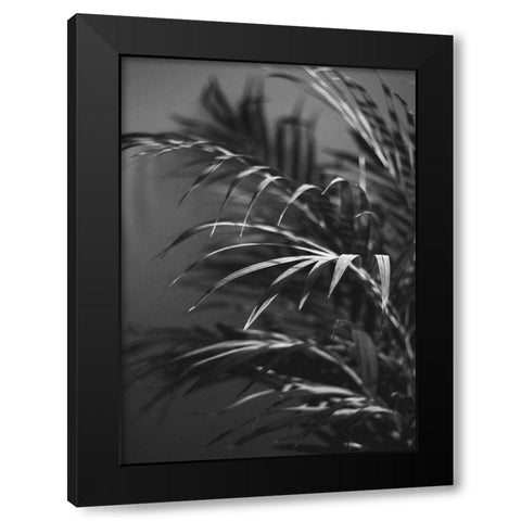 Black Plant Black Modern Wood Framed Art Print by Design Fabrikken