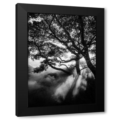 Misty Black Black Modern Wood Framed Art Print by Design Fabrikken
