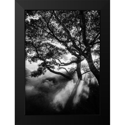 Misty Black Black Modern Wood Framed Art Print by Design Fabrikken