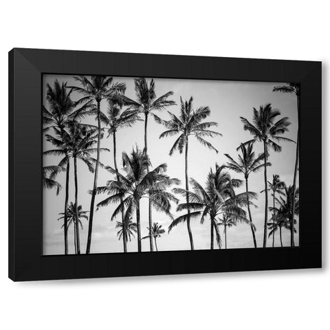 Palm Heaven Black Modern Wood Framed Art Print by Design Fabrikken