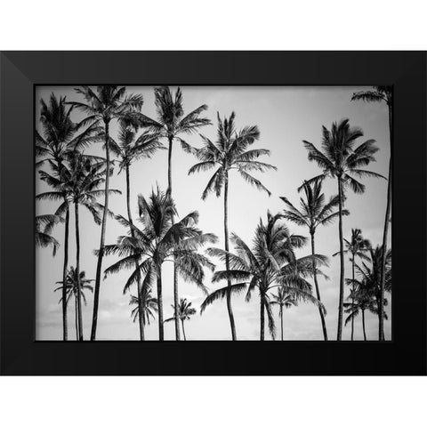 Palm Heaven Black Modern Wood Framed Art Print by Design Fabrikken
