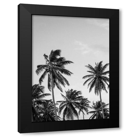 Palms in Grey Black Modern Wood Framed Art Print with Double Matting by Design Fabrikken