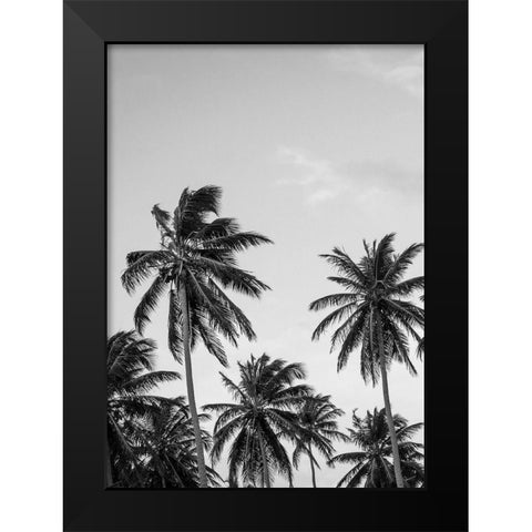 Palms in Grey Black Modern Wood Framed Art Print by Design Fabrikken