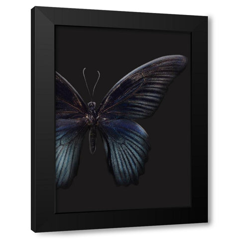 Black Butterfly on Grey Black Modern Wood Framed Art Print with Double Matting by Design Fabrikken