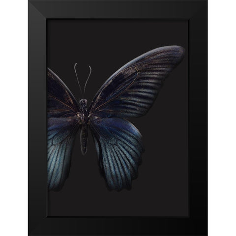 Black Butterfly on Grey Black Modern Wood Framed Art Print by Design Fabrikken