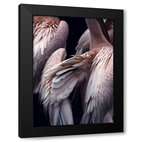 Flamboyance 1 Black Modern Wood Framed Art Print with Double Matting by Design Fabrikken