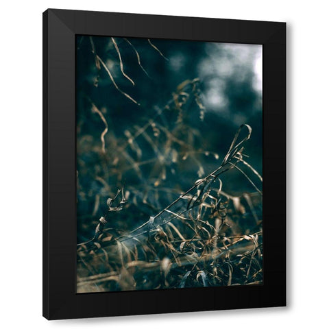 Secret 1 Black Modern Wood Framed Art Print with Double Matting by Design Fabrikken
