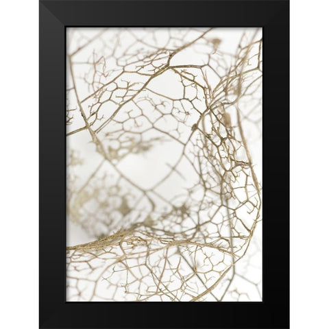 Leaf Skeleton Black Modern Wood Framed Art Print by Design Fabrikken