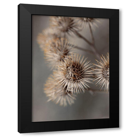 Avantgarde Black Modern Wood Framed Art Print by Design Fabrikken