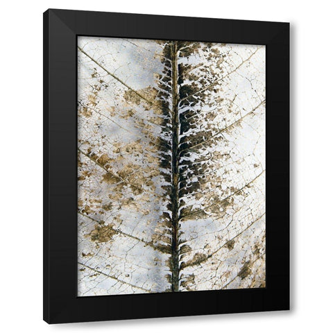 Close Up Black Modern Wood Framed Art Print by Design Fabrikken
