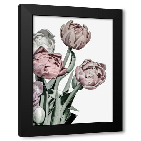 Tulips Bright Black Modern Wood Framed Art Print by Design Fabrikken