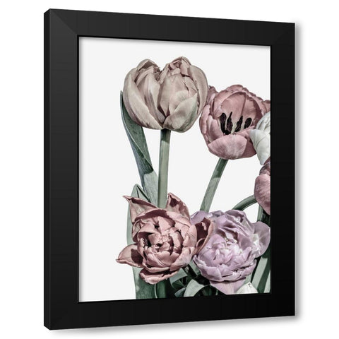 Tulips Bright 2 Black Modern Wood Framed Art Print with Double Matting by Design Fabrikken