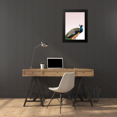Peacock on Pink Black Modern Wood Framed Art Print by Design Fabrikken