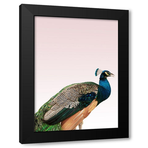 Peacock on Pink Black Modern Wood Framed Art Print by Design Fabrikken