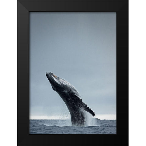 40 Ton Black Modern Wood Framed Art Print by Design Fabrikken