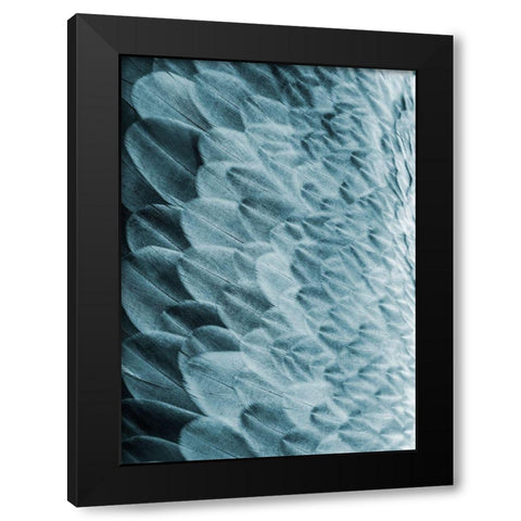 Volture I Black Modern Wood Framed Art Print with Double Matting by Design Fabrikken