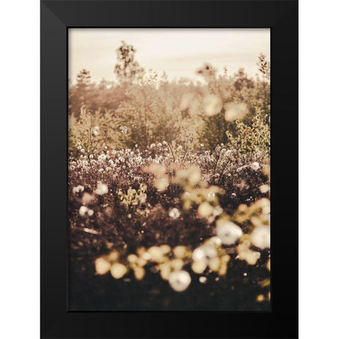 Golden Field Black Modern Wood Framed Art Print by Design Fabrikken