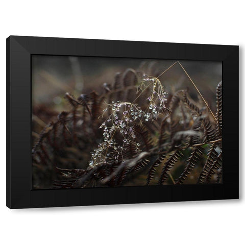 Secret 2 Black Modern Wood Framed Art Print with Double Matting by Design Fabrikken